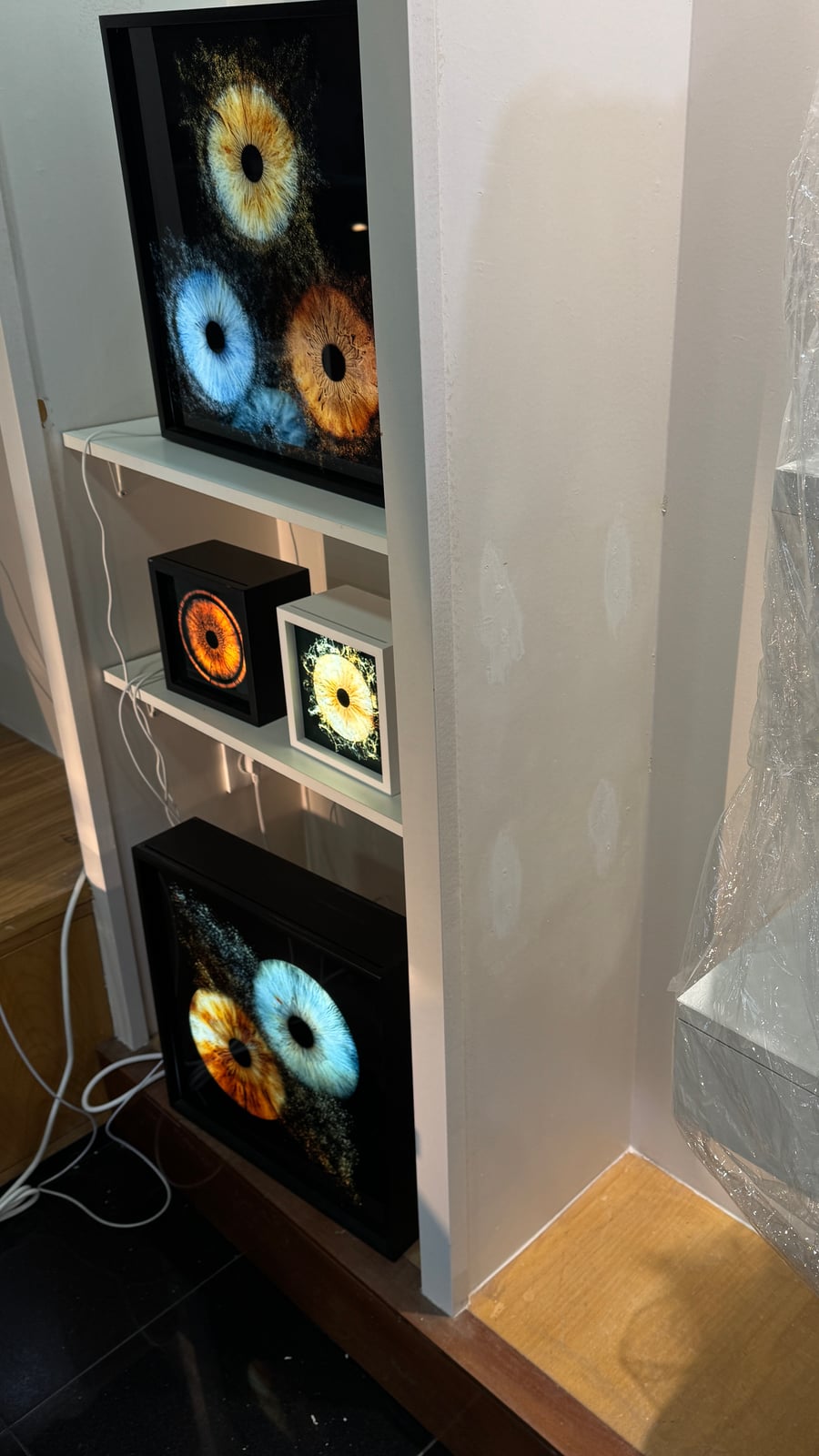 Backlit iris-artwork display boxes on shelves beside a wall section covered in protective film